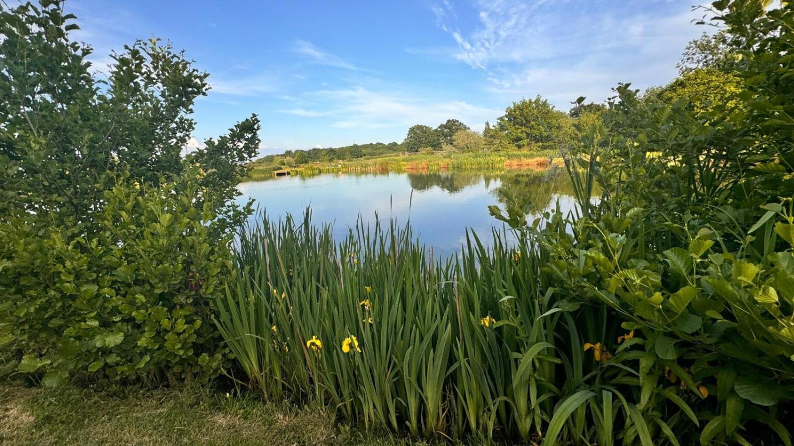 Bransford Farm Fishery & B & B Экстерьер фото